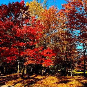 Meet your Posher, Lynn